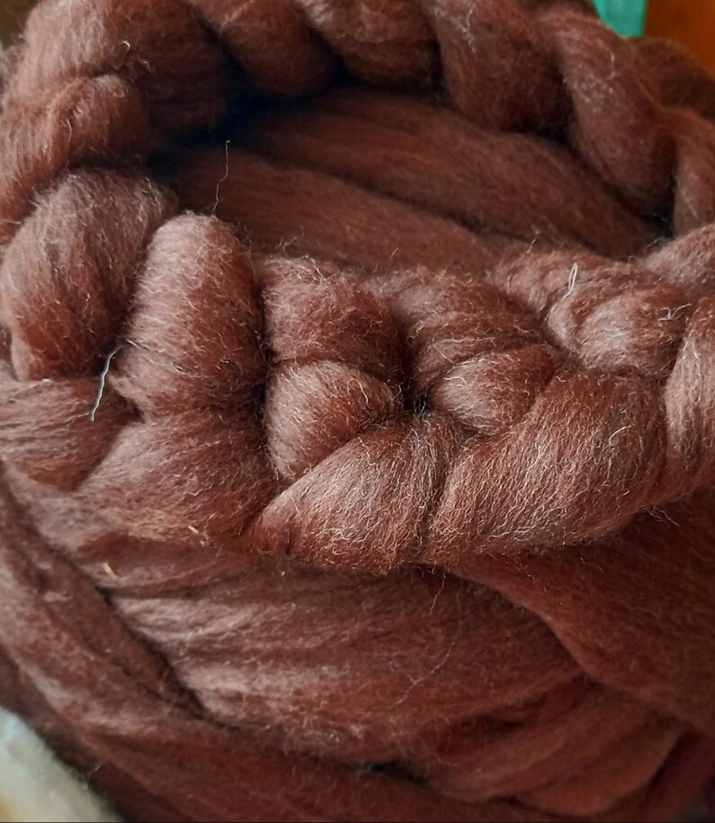 South German Merino in the comb image 3