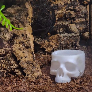 Può includere: Un contenitore bianco a forma di teschio con un'ampia apertura, sullo sfondo di corteccia marrone strutturata e un insetto scuro con molte zampe. Il contenitore è liscio e dettagliato, con orbite e cavità nasali visibili. Una piccola pianta verde è visibile a sinistra.