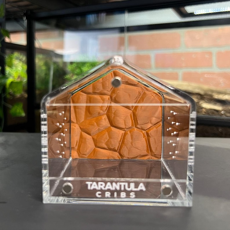 Tarantula Base 3D Printed Tarantula Enclosure Background for Tarantula Cribs – 3x3 ...