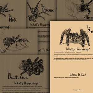 The Preen **On demand print**