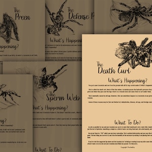 The Death Curl **On demand print**