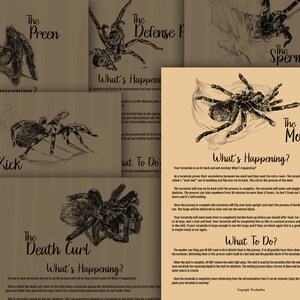 The Molt **On demand print**