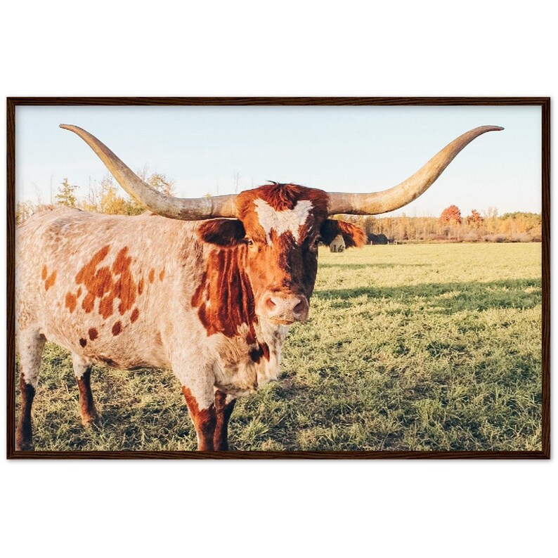 Framed Longhorn Print Longhorn Print Longhorn Decor Western Etsy