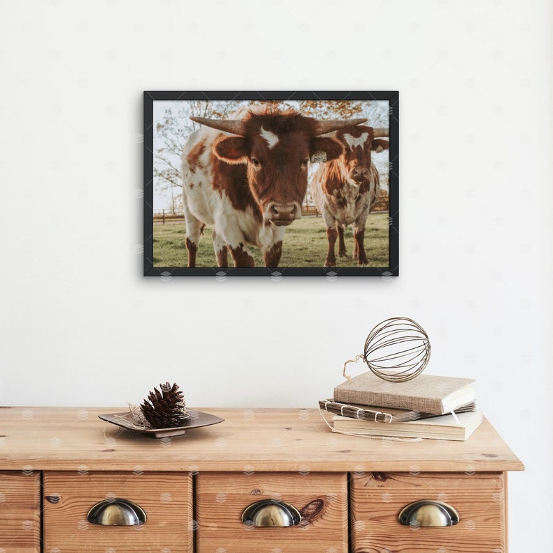Longhorn Wall Decor Longhorn Print Western Decor Western Etsy