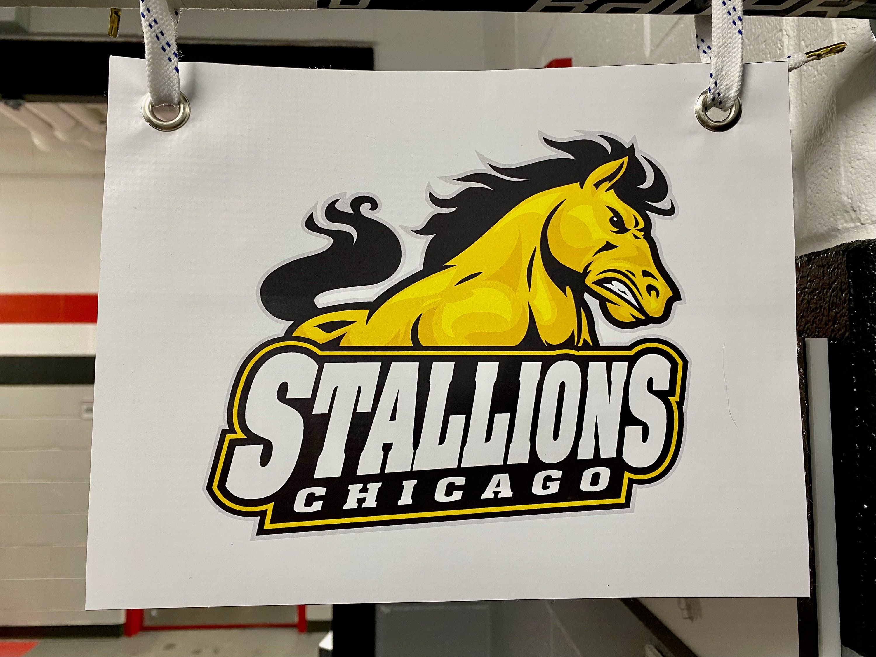 Hockey Stick Banner for Locker Rooms Etsy