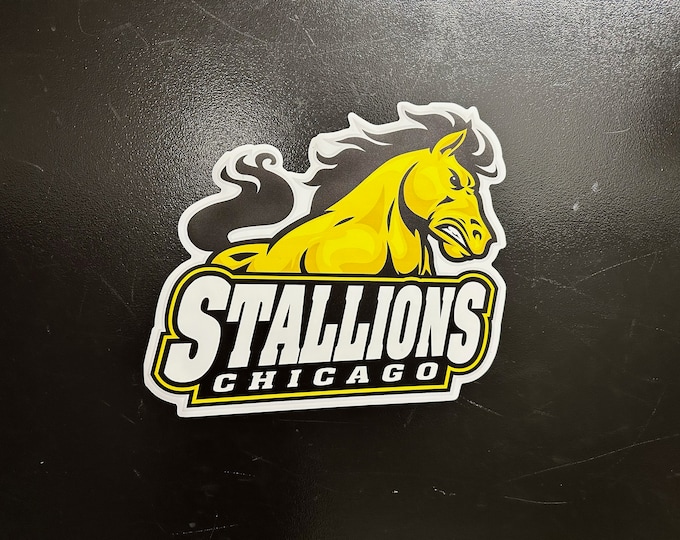 Featured listing image: Die-cut Magnetic Logo for Hockey Locker Room Door