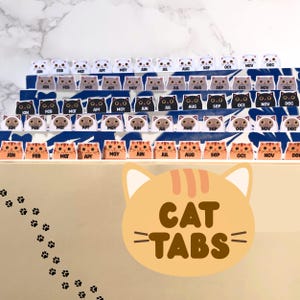 May include: A collection of cat-themed tabs, each labeled with a month from January to December. The tabs feature various cat designs in white, gray, black, and orange. The words "CAT TABS" are displayed in a playful font.