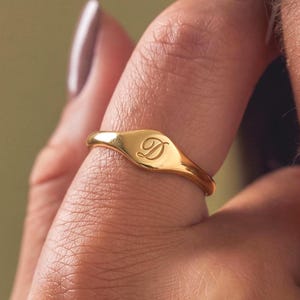 May include: A gold signet ring with the letter "D" engraved on the face. The ring is smooth and shiny, and is worn on a finger. The background is blurred, with a soft, warm color palette.