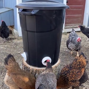 Poultry Pro-matare med enkel port bild 5