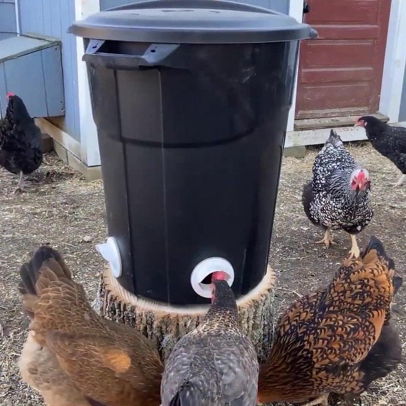 Poultry Pro-matare med enkel port bild 5