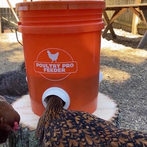 Quail & Chick Feed Saver Port Made in USA 3D Printed Reduces Food Waste and  Saves Money DIY Bucket Pail Bin Container 