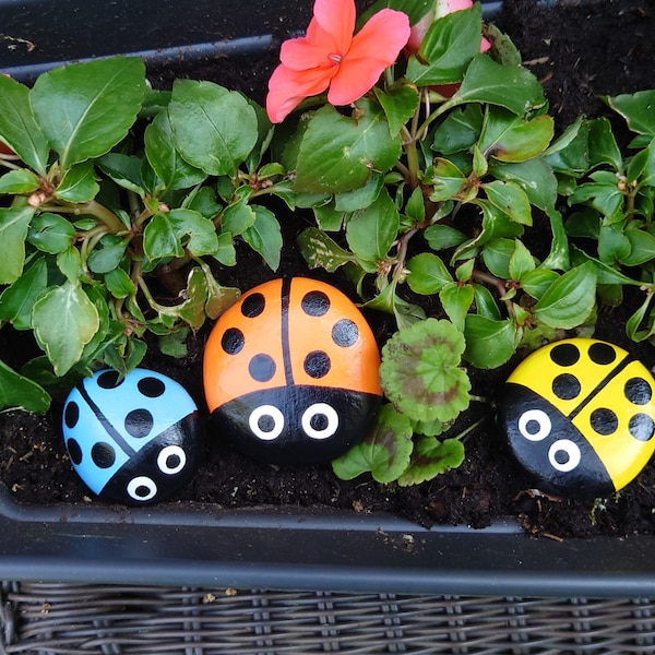 Ladybird Painted Pebble - Various Colours and Sizes - Nature Pebble - Insect Painting - Kid's pebble - Small gift - Cute ladybird