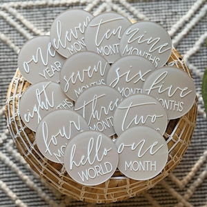 Acrylic Monthly Milestone Discs Set, Hand-Painted Baby Month Markers, Engraved Monthly Milestone Discs, Newborn Photo Prop, Baby Shower Gift