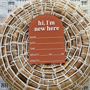 Personalized Hello World Baby Stat Sign, Acrylic Hospital Birth Stat Sign, Birth Announcement, Newborn Photo Prop, Baby Keepsake Gift Terra Cotta