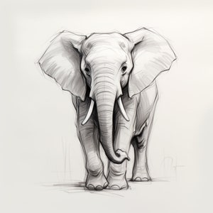 Original Elephant Sketch for Tracing