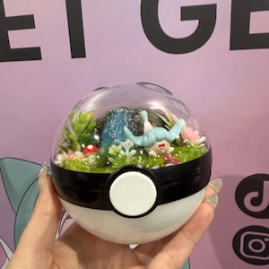 Puede incluir: Un terrario esférico transparente con una base en blanco y negro, que presenta un paisaje en miniatura con una cascada, plantas y una pequeña criatura. El terrario se sostiene en una mano.