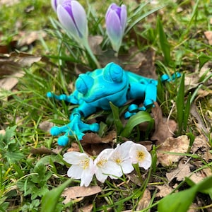 Cute Articulated Frog Fidget Toy | 3D Printed Toy