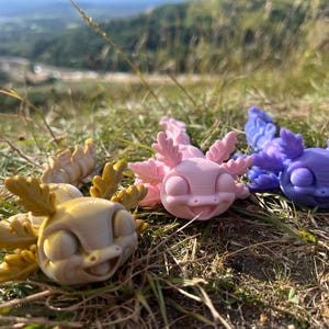 Cute Axolotl Articulated 3d Printed Figurine Fidget Toy