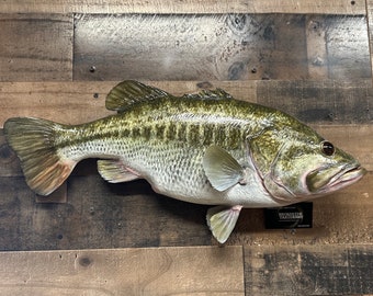 Largemouth Bass Replica, Premium Fish Replicas 10 1/2 lbs.