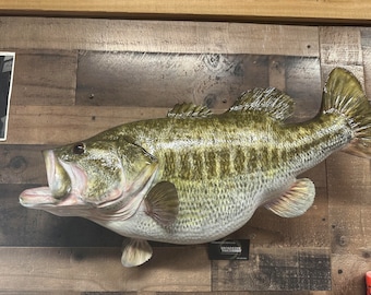 Largemouth Bass Replica, Premium Fish Replicas