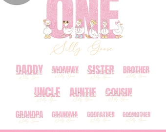 One silly goose birthday PNG shirts iron on transfer bundle, Silly goose first birthday shirt png sublimation, INSTANT DOWNLOAD
