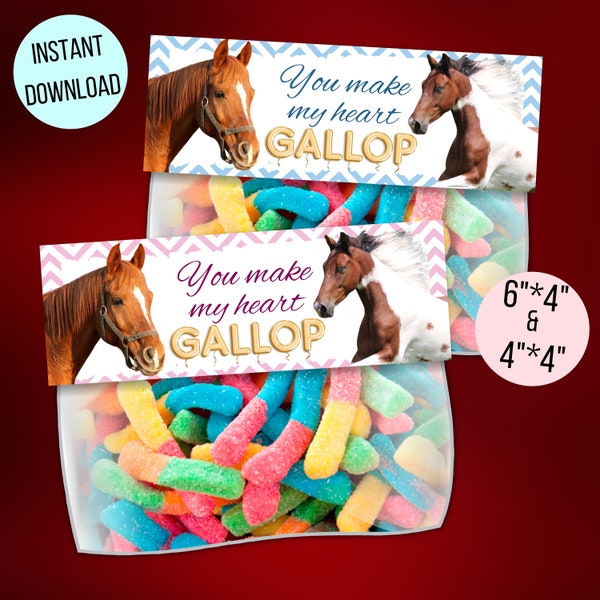 Horse Treat Bag Etsy