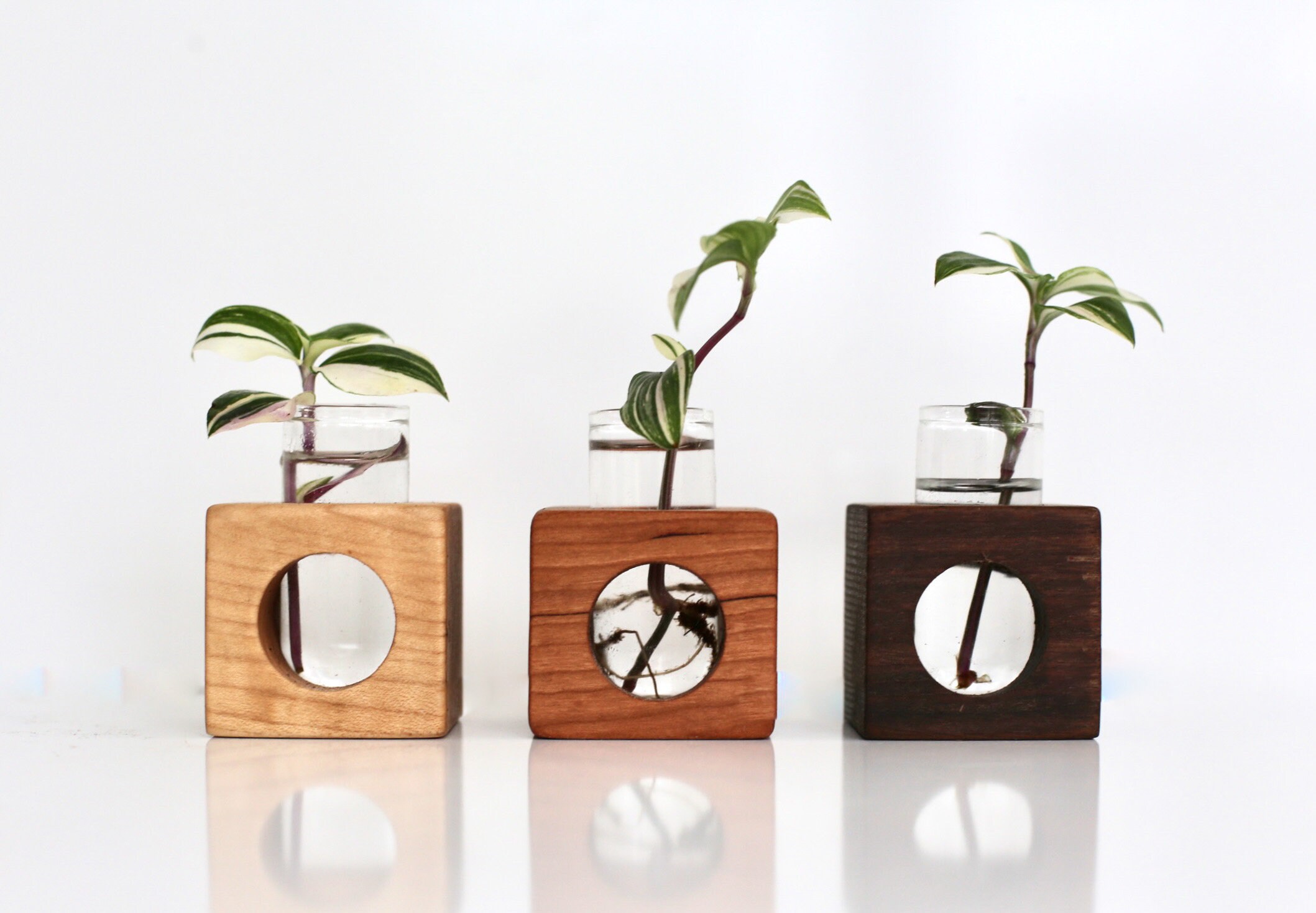 Propagation Cube Bud Vase Etsy