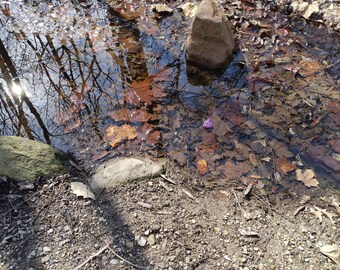 Fotografía de naturaleza, arroyo derretido en invierno con reflejos de árboles y soles, grandes rocas y hojas, descarga de fotos digitales para la venta