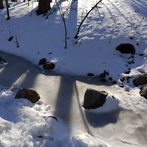 Nature Photography, frozen stream with large rocks, snow, trees, sunlight, and shadow, Digital Photo Download for Sale