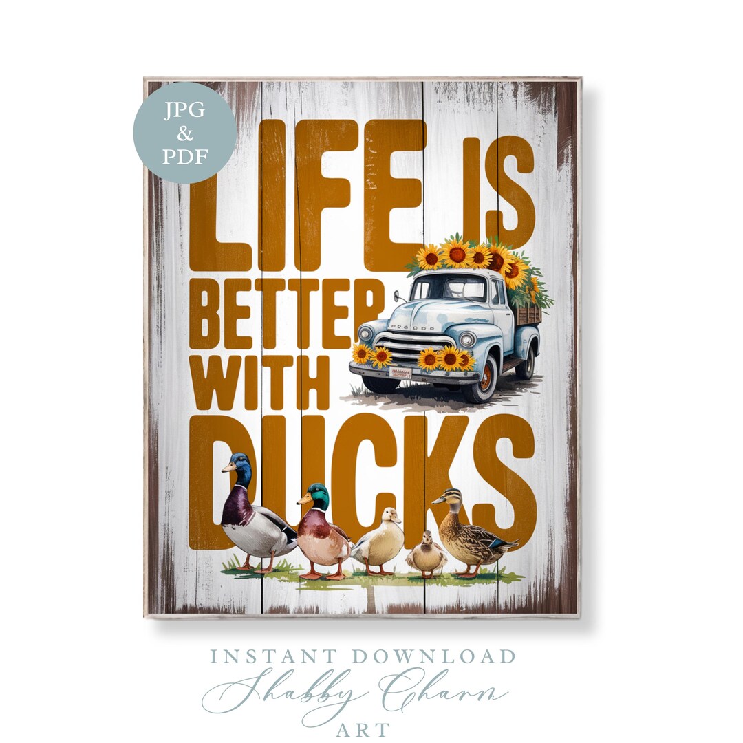 Willow & Silk 2 Shabby Chic Duck Figurines in Antique Cream | MYER