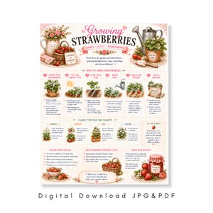 Puede incluir: Un póster instructivo titulado Growing Strawberries con ilustraciones de plantas de fresa, cestas y herramientas de jardinería. Incluye secciones sobre plantación, cuidado estacional y consejos, todo en un diseño decorativo de colores claros.