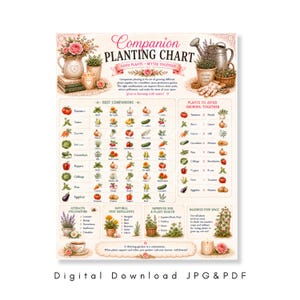 Puede incluir: Una tabla de plantación complementaria de color crema con ilustraciones de verduras, flores y herramientas de jardín. El texto dice Companion Planting Chart, Good Plants Better Together, y enumera varias combinaciones de plantas.