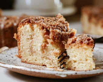 Coffee Cake Recipe - Easy Moist Cinnamon Crumb Cake - Breakfast and Dessert - Printable PDF Download