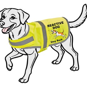 Giacca ad alta visibilità per cani Reactive Dog con chiusura in velcro disponibile in 6 colori. Giacca ad alta visibilità K9, cappotto per cani