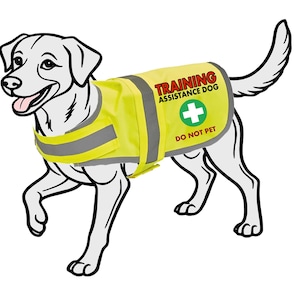 Può includere: Illustrazione di un cane bianco con un giubbotto giallo brillante. Il giubbotto ha strisce grigie riflettenti e le parole "TRAINING ASSISTANCE DOG" e "DO NOT PET" stampate, insieme a una croce verde.