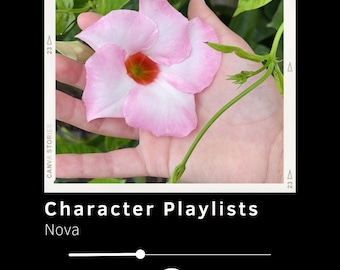 Custom Character/Themed Playlists!!