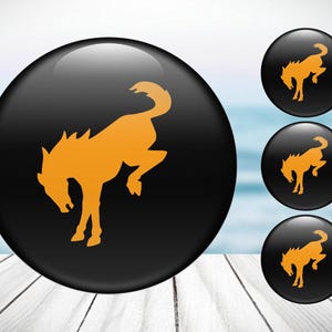 4pcs Set Bronco High Quality Hand Made Center Wheel Cap Stickers Gas Tank Logo Decal Emblem