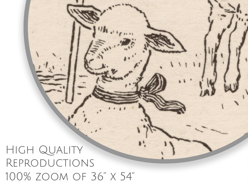 May include: Black and white line drawing of a lamb wearing a ribbon around its neck. The lamb is looking to the left of the image. The drawing is on a light beige background.
