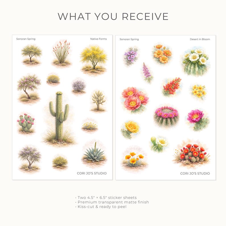 Może przedstawiać: Dwa arkusze naklejek o wymiarach 11,43 cm x 16,51 cm zatytułowane Sonoran Spring, Native Forms i Desert in Bloom. Arkusze zawierają akwarelowe ilustracje r&oacute;żnych roślin pustynnych, kaktus&oacute;w i kwiat&oacute;w w odcieniach zieleni, ż&oacute;łci, r&oacute;żu i pomarańczu.