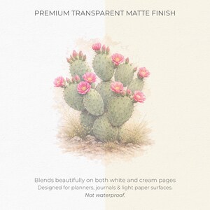 Może przedstawiać: Akwarelowa ilustracja opuncji z zielonymi członami i żywymi r&oacute;żowymi kwiatami. Tekst głosi: PREMIUM TRANSPARENT MATTE FINISH. Dobrze komponuje się z białymi i kremowymi stronami. Zaprojektowano do planer&oacute;w, dziennik&oacute;w i lekkiego papieru. Nie jest wodoodporny.