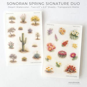 May include: Two 4.5" x 6.5" transparent matte sticker sheets titled Sonoran Spring Signature Duo. The sheets feature watercolor illustrations of desert flora, including various cacti, succulents, and blooming desert flowers.