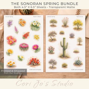 May include: The Sonoran Spring Bundle includes two sheets of transparent matte stickers, each 4.5" x 6.5". The stickers feature watercolor illustrations of desert plants and flowers, including cacti and blooms. The text "Cori Jo's Studio" is visible.