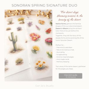 Może przedstawiać: Dwa arkusze naklejek z akwarelowymi ilustracjami flory pustyni Sonora, w tym kaktus&oacute;w i kwitnących kwiat&oacute;w pustynnych. Tekst zawiera napisy SONORAN SPRING SIGNATURE DUO, For desert days, blooming seasons & the beauty of the desert, Native Forms, Desert in Bloom oraz Handmade in Arizona.