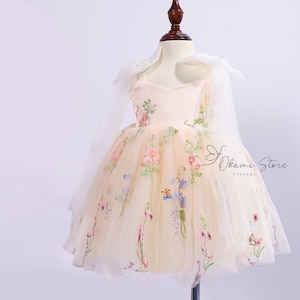 Blush pink 4 layers Flower Girl Dress Tutu Flower Party Dress, Enchanted Rose Fairy Floral Embroidery Dress, Tulle Dress, First Birthday