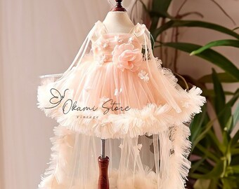 Robe d'anniversaire rose poudré pour bébé, robe de fête d'anniversaire de première année, robe avec traine pour bébé, magnifique robe duveteuse pour enfants, robe en tulle