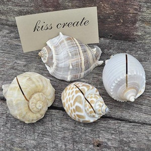 May include: Four seashells with a slot for a card, ideal for place cards at a beach-themed wedding or party. The shells are in various shapes and colours, including brown, white, and tan.