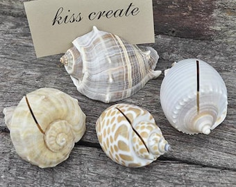 Shell place card holder mixed colour