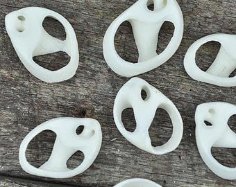 Polinices white centre cut 10 pack