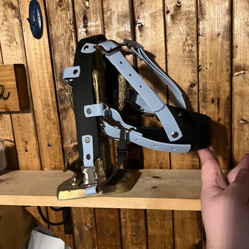 Service Dog Collar Tag Medical Alert Clip to Vest Harness Etsy