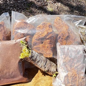 May include: A collection of clear plastic bags containing various natural materials, including large chunks of reddish-brown bark, a bag of fine brown powder, a cylindrical piece of birch bark with green moss, and a bag of dried green foliage.